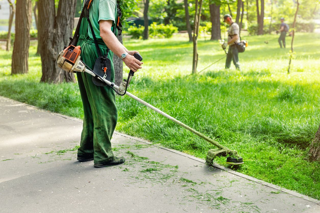 Well-maintained government property grounds with trimmed landscaping and clean walkways